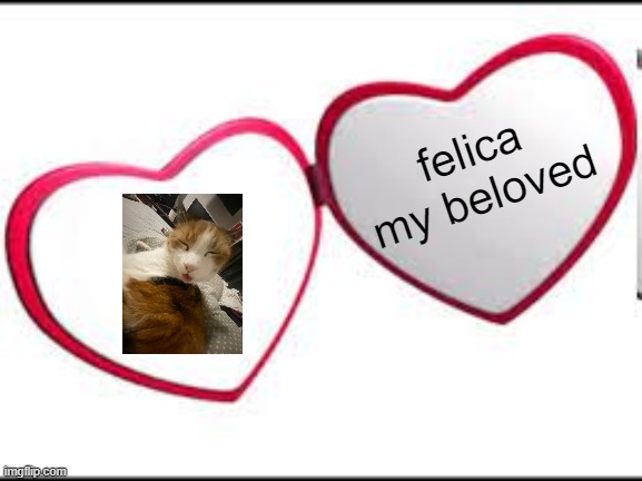 babyed | felica my beloved | image tagged in my beloved | made w/ Imgflip meme maker