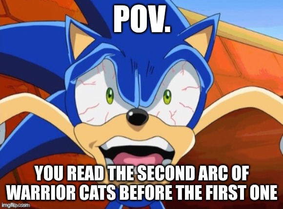 Sonic Scared Face | POV. YOU READ THE SECOND ARC OF WARRIOR CATS BEFORE THE FIRST ONE | image tagged in sonic scared face | made w/ Imgflip meme maker