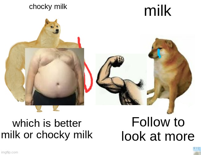 Wahhhhhhhhhh | chocky milk; milk; which is better milk or chocky milk; Follow to look at more | image tagged in memes,buff doge vs cheems | made w/ Imgflip meme maker