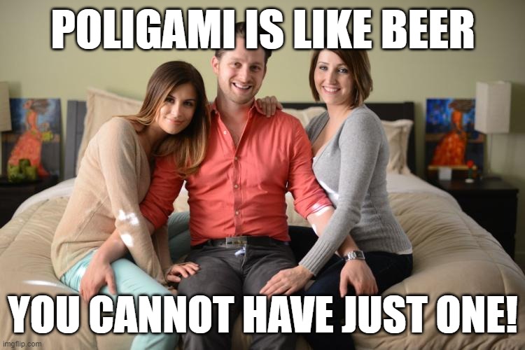 Beer and Poligami | POLIGAMI IS LIKE BEER; YOU CANNOT HAVE JUST ONE! | image tagged in poligami,beer | made w/ Imgflip meme maker