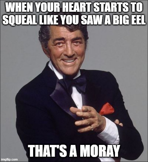 Eeeeel! | WHEN YOUR HEART STARTS TO SQUEAL LIKE YOU SAW A BIG EEL; THAT'S A MORAY | image tagged in dean martin lean | made w/ Imgflip meme maker