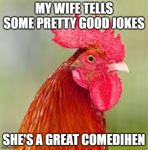 Funny Chick | MY WIFE TELLS SOME PRETTY GOOD JOKES; SHE'S A GREAT COMEDIHEN | image tagged in rooster | made w/ Imgflip meme maker