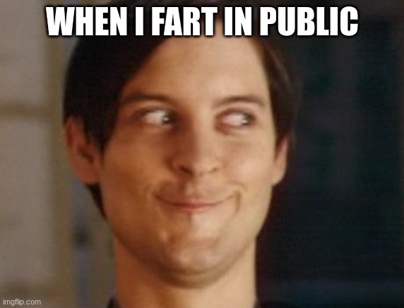 me when I fart in public |  WHEN I FART IN PUBLIC | image tagged in memes,spiderman peter parker | made w/ Imgflip meme maker