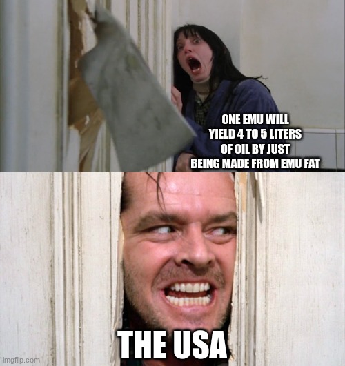 Jack Torrance axe shining | ONE EMU WILL YIELD 4 TO 5 LITERS OF OIL BY JUST BEING MADE FROM EMU FAT; THE USA | image tagged in jack torrance axe shining | made w/ Imgflip meme maker