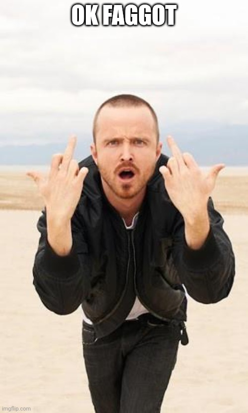 jesse pinkman | OK FAGGOT | image tagged in jesse pinkman | made w/ Imgflip meme maker