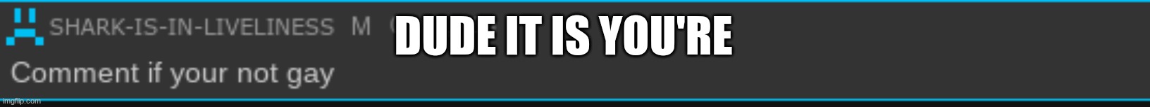 you're* | DUDE IT IS YOU'RE | made w/ Imgflip meme maker