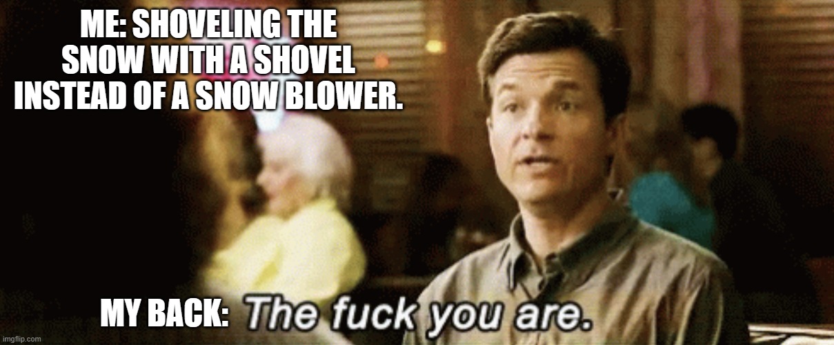 Shoveling Snow | ME: SHOVELING THE SNOW WITH A SHOVEL INSTEAD OF A SNOW BLOWER. MY BACK: | image tagged in the f you are | made w/ Imgflip meme maker