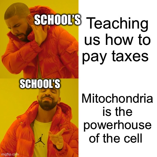 Schools | SCHOOL’S; Teaching us how to pay taxes; SCHOOL’S; Mitochondria is the powerhouse of the cell | image tagged in memes,drake hotline bling | made w/ Imgflip meme maker