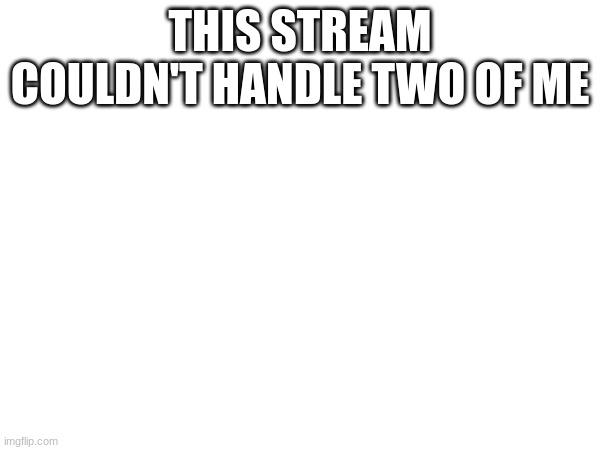 THIS STREAM COULDN'T HANDLE TWO OF ME | made w/ Imgflip meme maker