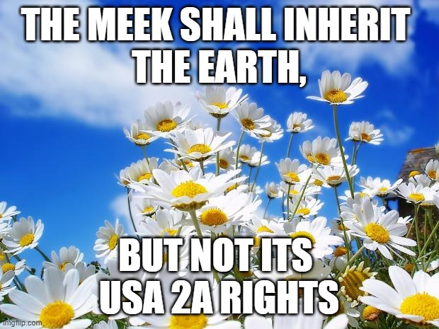 Will the Meek inherit the Property Rights in the 4th, & 5th amendment regarding their weapons as property too? |  THE MEEK SHALL INHERIT 
THE EARTH, BUT NOT ITS 
USA 2A RIGHTS | image tagged in spring daisy flowers,military humor,hippity hoppity you're now my property,gadsden flag,jesus christ,constitutional convention | made w/ Imgflip meme maker