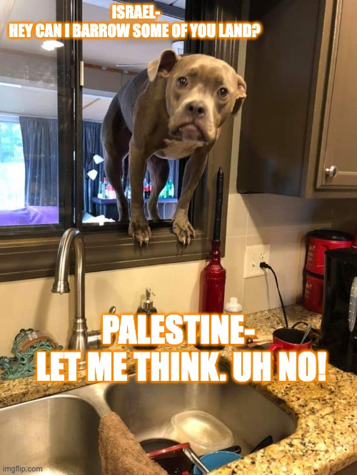 Dog in window | ISRAEL-
HEY CAN I BARROW SOME OF YOU LAND? PALESTINE- 
LET ME THINK. UH NO! | image tagged in dog in window | made w/ Imgflip meme maker