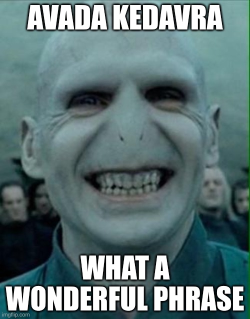 Voldemort Grin | AVADA KEDAVRA; WHAT A WONDERFUL PHRASE | image tagged in voldemort grin,harry potter,lion king | made w/ Imgflip meme maker
