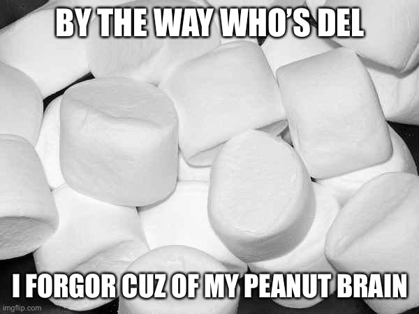 Big L rn | BY THE WAY WHO’S DEL; I FORGOR CUZ OF MY PEANUT BRAIN | image tagged in marshmallow,balls | made w/ Imgflip meme maker