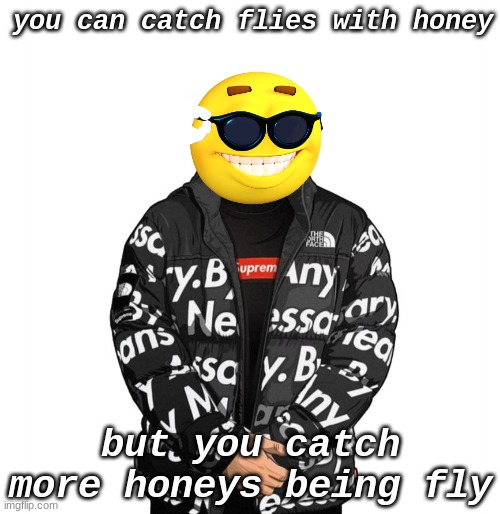 the Drip man has spoken | you can catch flies with honey; but you catch more honeys being fly | image tagged in goku drip | made w/ Imgflip meme maker