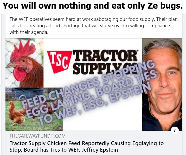 You will own nothing and eat only Ze bugs. | You will own nothing and eat only Ze bugs. | image tagged in wef,dr evil,dr evil klaus schwab,little hitler,tractor supply,got eggs | made w/ Imgflip meme maker