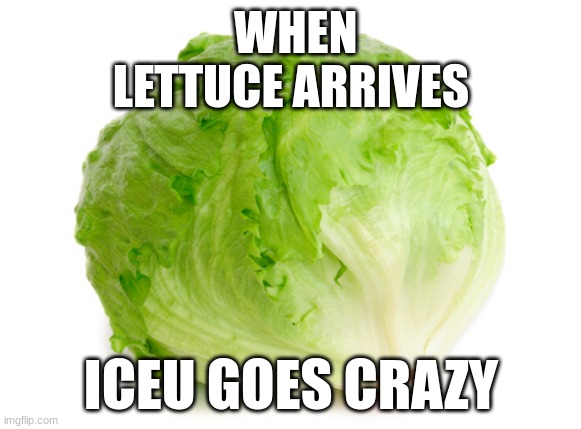 Why does iceu hate lettuce | WHEN LETTUCE ARRIVES; ICEU GOES CRAZY | image tagged in lettuce | made w/ Imgflip meme maker