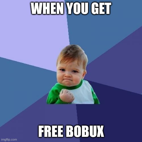 The five year old: | WHEN YOU GET; FREE BOBUX | image tagged in memes,success kid | made w/ Imgflip meme maker