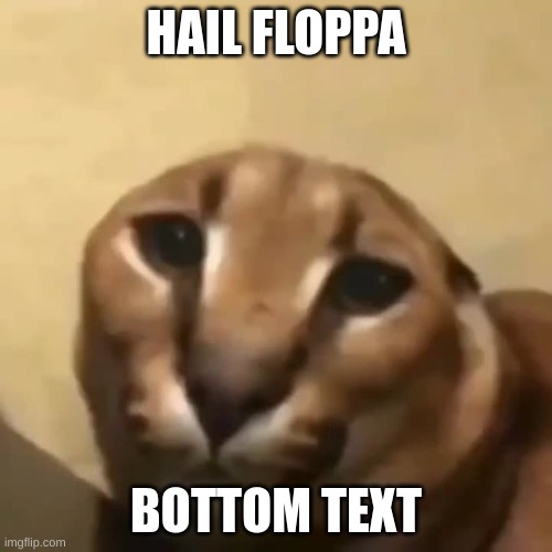 Big Floppa, Meme