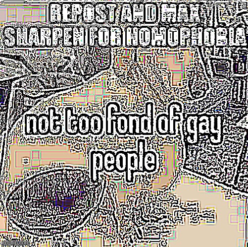 saved image and max sharpened then saved that image. Then max sharpened. 100 times | image tagged in repost,homophobic | made w/ Imgflip meme maker