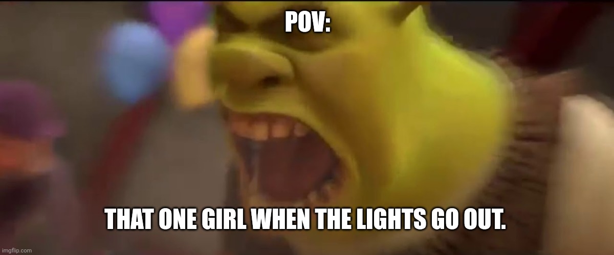 Shrek Screaming |  POV:; THAT ONE GIRL WHEN THE LIGHTS GO OUT. | image tagged in shrek screaming | made w/ Imgflip meme maker