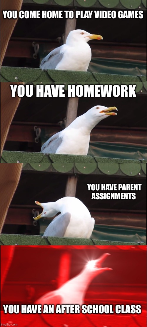 My life: | YOU COME HOME TO PLAY VIDEO GAMES; YOU HAVE HOMEWORK; YOU HAVE PARENT ASSIGNMENTS; YOU HAVE AN AFTER SCHOOL CLASS | image tagged in memes,inhaling seagull | made w/ Imgflip meme maker