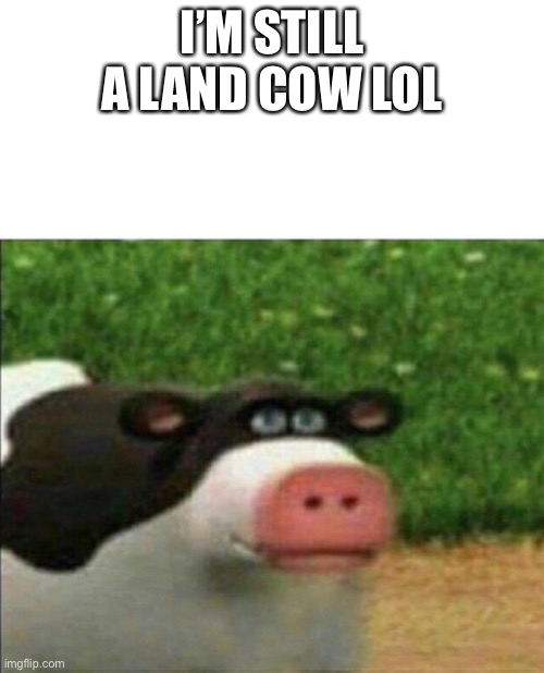 Perhaps cow | I’M STILL A LAND COW LOL | image tagged in perhaps cow | made w/ Imgflip meme maker