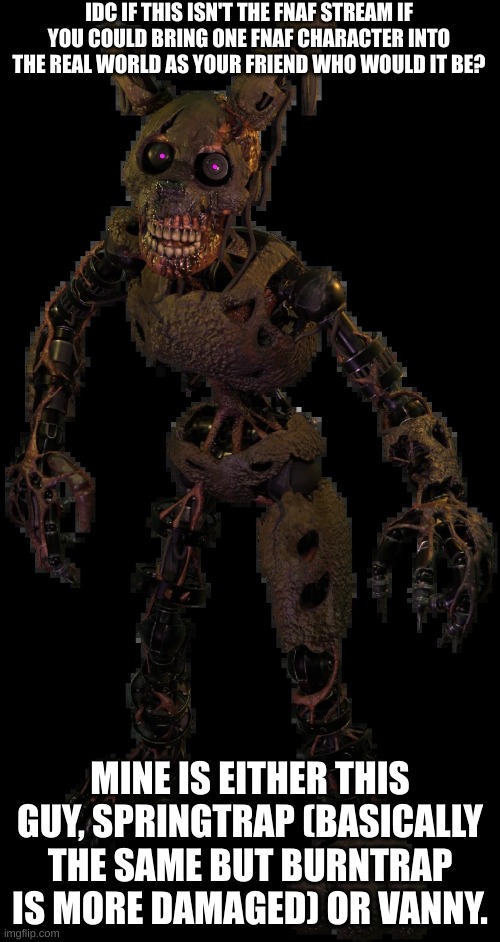well, who'd it be? | IDC IF THIS ISN'T THE FNAF STREAM IF YOU COULD BRING ONE FNAF CHARACTER INTO THE REAL WORLD AS YOUR FRIEND WHO WOULD IT BE? MINE IS EITHER THIS GUY, SPRINGTRAP (BASICALLY THE SAME BUT BURNTRAP IS MORE DAMAGED) OR VANNY. | image tagged in burntrap | made w/ Imgflip meme maker