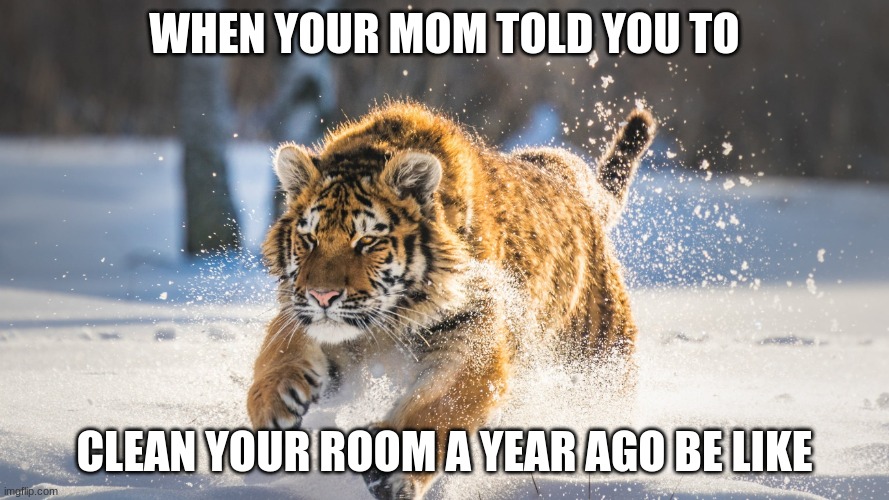 run | WHEN YOUR MOM TOLD YOU TO; CLEAN YOUR ROOM A YEAR AGO BE LIKE | image tagged in run | made w/ Imgflip meme maker