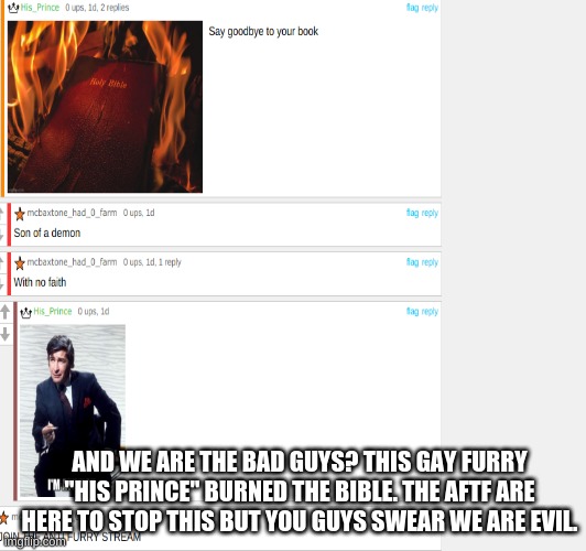 JOIN THE AFTF TO STOP THIS UN HOLINESS | AND WE ARE THE BAD GUYS? THIS GAY FURRY "HIS PRINCE" BURNED THE BIBLE. THE AFTF ARE HERE TO STOP THIS BUT YOU GUYS SWEAR WE ARE EVIL. | image tagged in aftf,raid | made w/ Imgflip meme maker