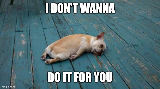 tired dog | I DON'T WANNA DO IT FOR YOU | image tagged in tired dog | made w/ Imgflip meme maker