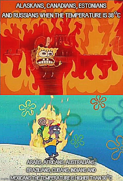 True and is also inspired by another Spanish meme | ALASKANS, CANADIANS, ESTONIANS AND RUSSIANS WHEN THE TEMPERATURE IS 38°C; ARABS, AFRICANS, AUSTRALIANS, BRAZILIANS, CUBANS, INDIANS AND MEXICANS THE TEMPERATURE IS HIGHER THAN 50°C | image tagged in spongebob on fire,spongebob,fire | made w/ Imgflip meme maker