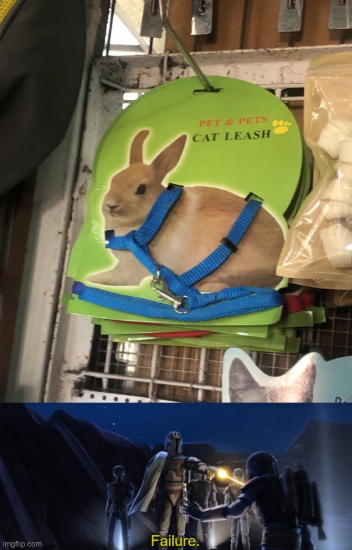 That’s not a Cat, That’s a Rabbit | image tagged in failure,you had one job,memes,star wars,cats,rabbits | made w/ Imgflip meme maker