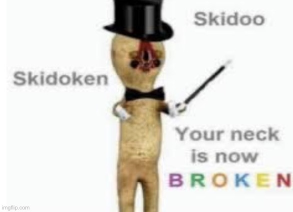 Skidoo skidoken your neck is now broken | image tagged in skidoo skidoken your neck is now broken | made w/ Imgflip meme maker