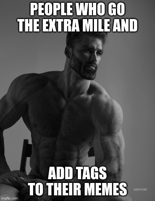Giga Chad | PEOPLE WHO GO THE EXTRA MILE AND; ADD TAGS TO THEIR MEMES | image tagged in giga chad | made w/ Imgflip meme maker