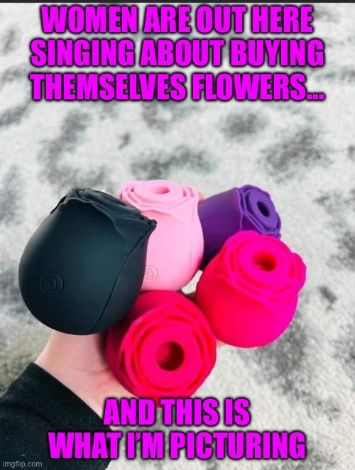 Flowers | WOMEN ARE OUT HERE SINGING ABOUT BUYING THEMSELVES FLOWERS…; AND THIS IS WHAT I’M PICTURING | image tagged in nsfw,adult humor | made w/ Imgflip meme maker