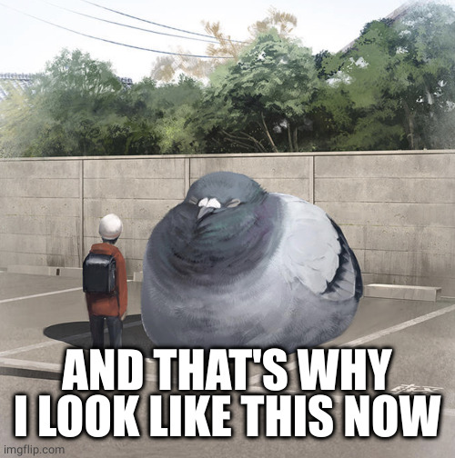Beeg Birb | AND THAT'S WHY I LOOK LIKE THIS NOW | image tagged in beeg birb | made w/ Imgflip meme maker