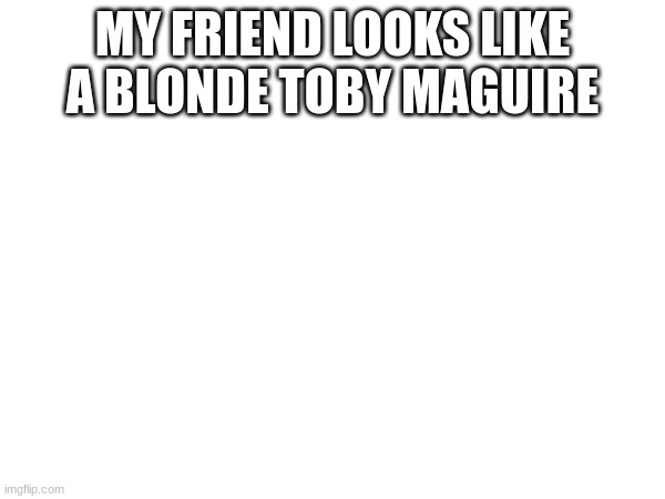 MY FRIEND LOOKS LIKE A BLONDE TOBY MAGUIRE | made w/ Imgflip meme maker