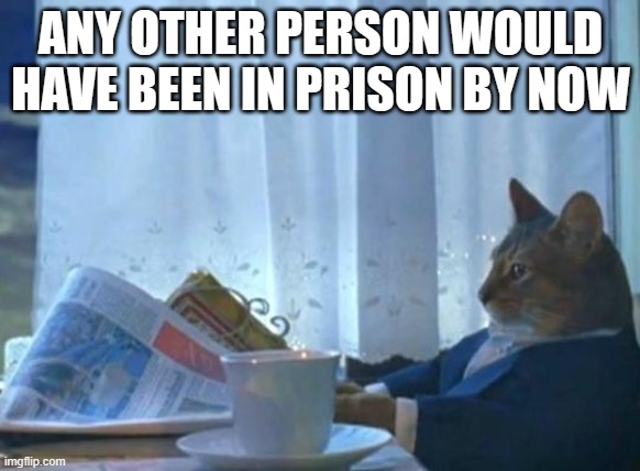 Cat newspaper | ANY OTHER PERSON WOULD HAVE BEEN IN PRISON BY NOW | image tagged in cat newspaper | made w/ Imgflip meme maker