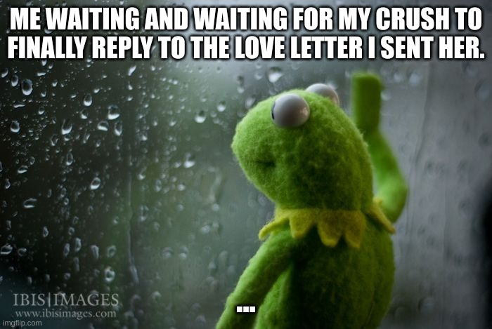 kermit window | ME WAITING AND WAITING FOR MY CRUSH TO FINALLY REPLY TO THE LOVE LETTER I SENT HER. ... | image tagged in kermit window | made w/ Imgflip meme maker