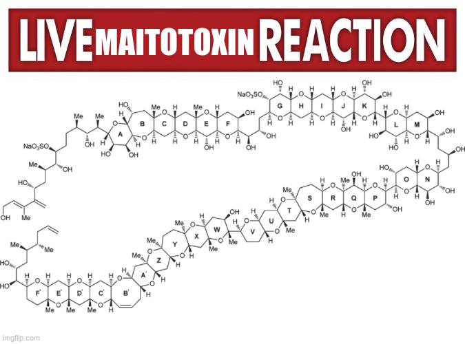 maitotoxin | MAITOTOXIN | image tagged in live x reaction | made w/ Imgflip meme maker