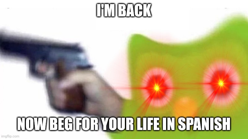 duolingo gun | I'M BACK NOW BEG FOR YOUR LIFE IN SPANISH | image tagged in duolingo gun | made w/ Imgflip meme maker