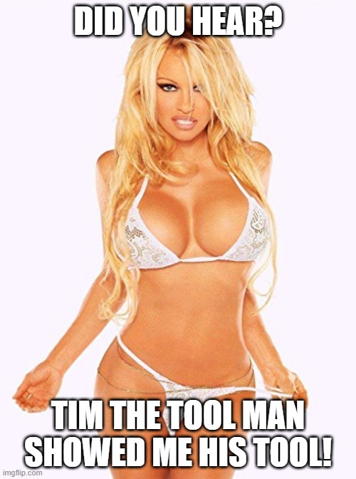 Dirty Tim Allen | DID YOU HEAR? TIM THE TOOL MAN SHOWED ME HIS TOOL! | image tagged in pamela anderson | made w/ Imgflip meme maker