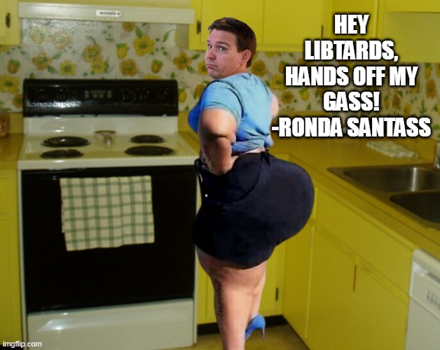 ron desantis | HEY LIBTARDS,
HANDS OFF MY GASS!
-RONDA SANTASS | image tagged in ron desantis,clown car republicans,gas stoves,big butt,gas,florida | made w/ Imgflip meme maker