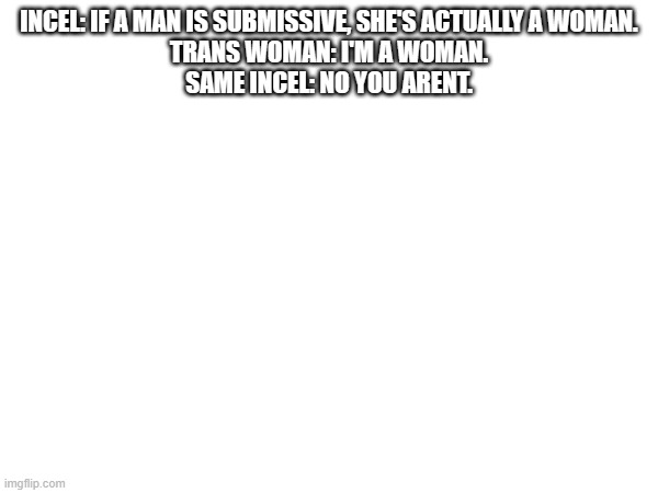 incel logic | INCEL: IF A MAN IS SUBMISSIVE, SHE'S ACTUALLY A WOMAN.
TRANS WOMAN: I'M A WOMAN.
SAME INCEL: NO YOU AREN'T. | made w/ Imgflip meme maker