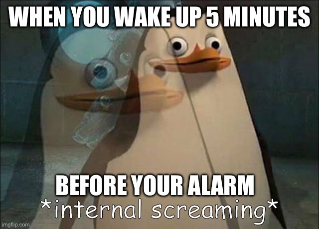 Private Internal Screaming | WHEN YOU WAKE UP 5 MINUTES; BEFORE YOUR ALARM | image tagged in private internal screaming | made w/ Imgflip meme maker