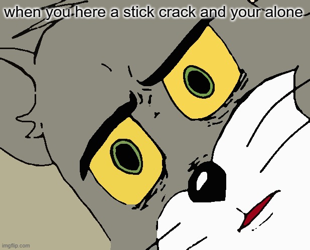 Untitled | when you here a stick crack and your alone | image tagged in memes,unsettled tom | made w/ Imgflip meme maker