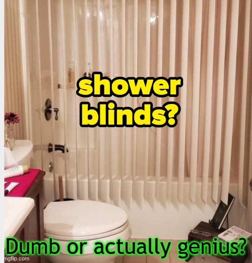 Submit your votes down below | Dumb or actually genius? | image tagged in dumb,genius | made w/ Imgflip meme maker