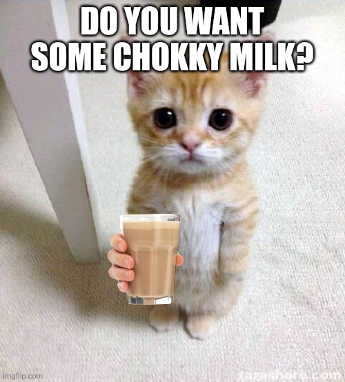 Cute Cat | DO YOU WANT SOME CHOKKY MILK? | image tagged in memes,cute cat | made w/ Imgflip meme maker