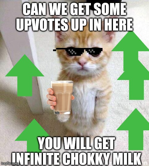 Cute Cat Meme | CAN WE GET SOME UPVOTES UP IN HERE; YOU WILL GET INFINITE CHOKKY MILK | image tagged in memes,cute cat | made w/ Imgflip meme maker