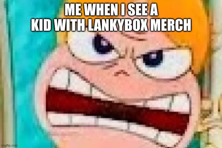 they're life is ruined if he has that shit | ME WHEN I SEE A KID WITH LANKYBOX MERCH | image tagged in angry candace,cringe | made w/ Imgflip meme maker